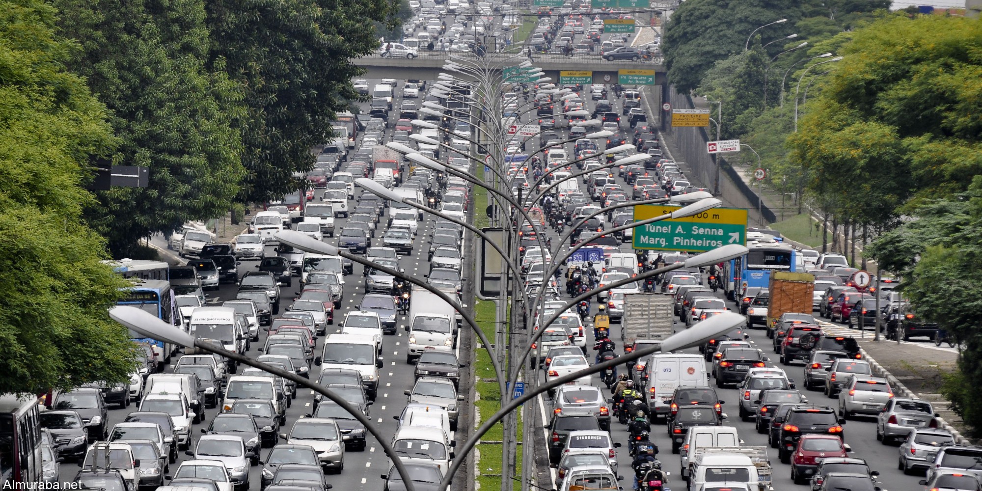 “تقرير” الفرد الياباني العادي يدفع خمسة أضعاف مايدفعه الفرد الأمريكي أو الخليجي عند شراء سيارة جديدة