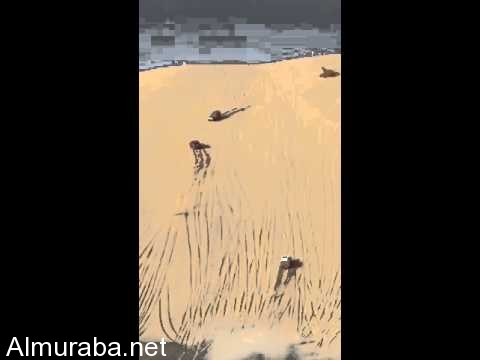 “فيديو” استعراض لمهارة التطعيس فوق جبل رملي ينتهي بتصادم عنيف بين سيارتين