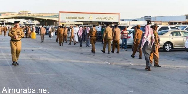 “بالصور“ إدارة مرور الرياض تطلق حملة على معارض السيارات في منطقة الشفا news0-1455455485