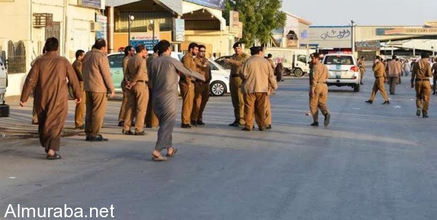 “بالصور“ إدارة مرور الرياض تطلق حملة على معارض السيارات في منطقة الشفا news0-1455455499