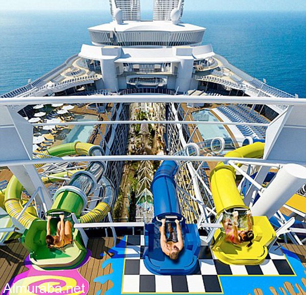 32231D8C00000578-3489643-image-m-7_1457826803196