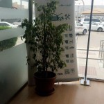 بالصور "وزارة التجارة" تتجاوب مع شكوى مواطن رصد محاولة لأحد فروع شركة سيارات إخفاء لوحة إعرف حقك 2