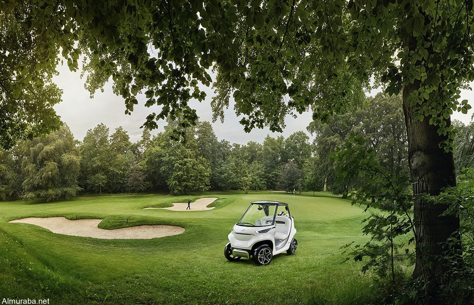 Mercedes-Caart-Golf-11