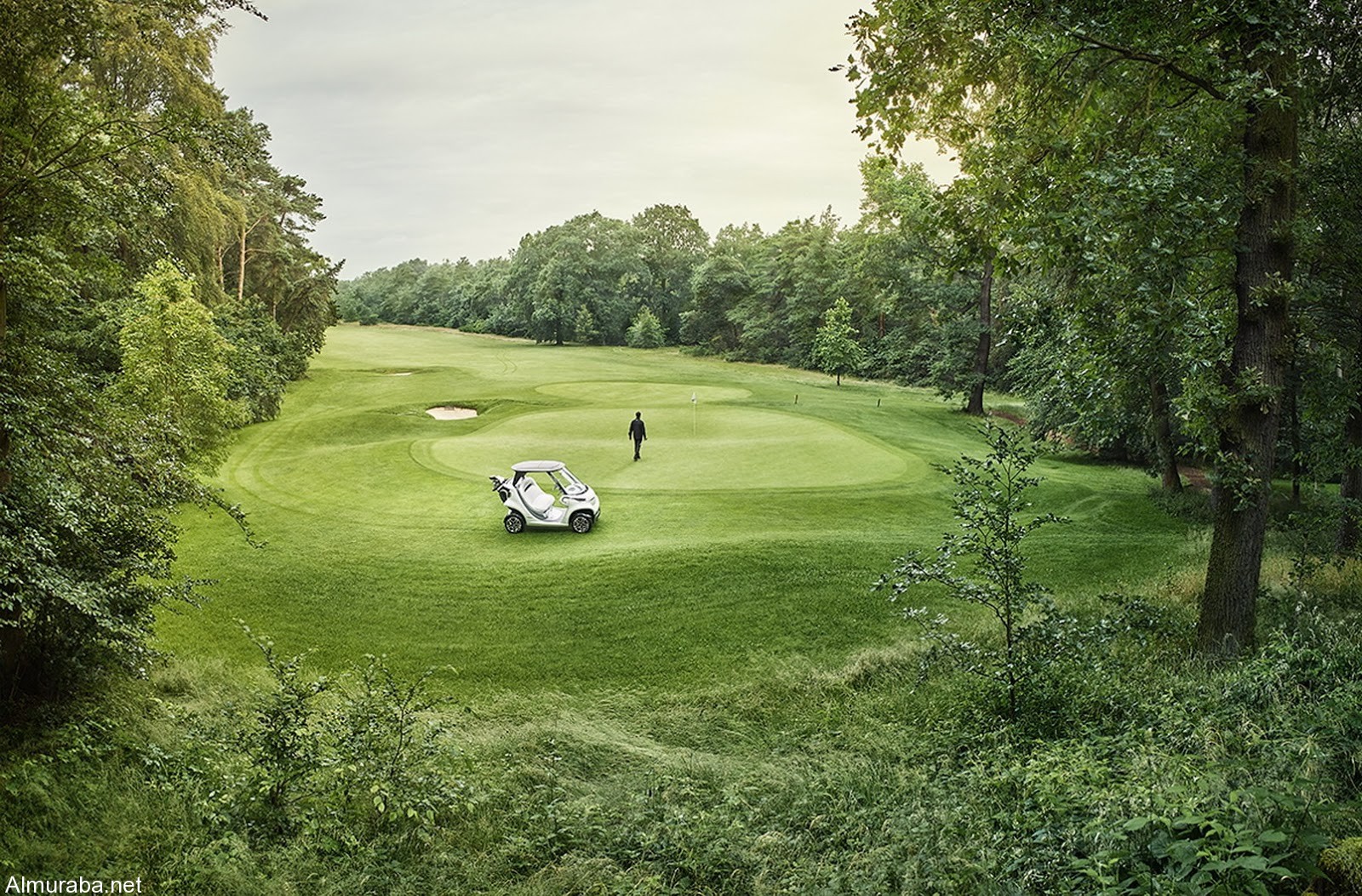 Mercedes-Caart-Golf-8