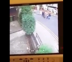 “فيديو“ شاهد حادث دهس مروع لمسنة وأحفادها أثناء عبورهم الشارع