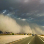 تعرف على أبرز ما يجب القيام به أثناء القيادة في حال مواجهة العواصف الرملية تعرف على أبرز ما يجب القيام به أثناء القيادة في حال مواجهة العواصف الرملية 1