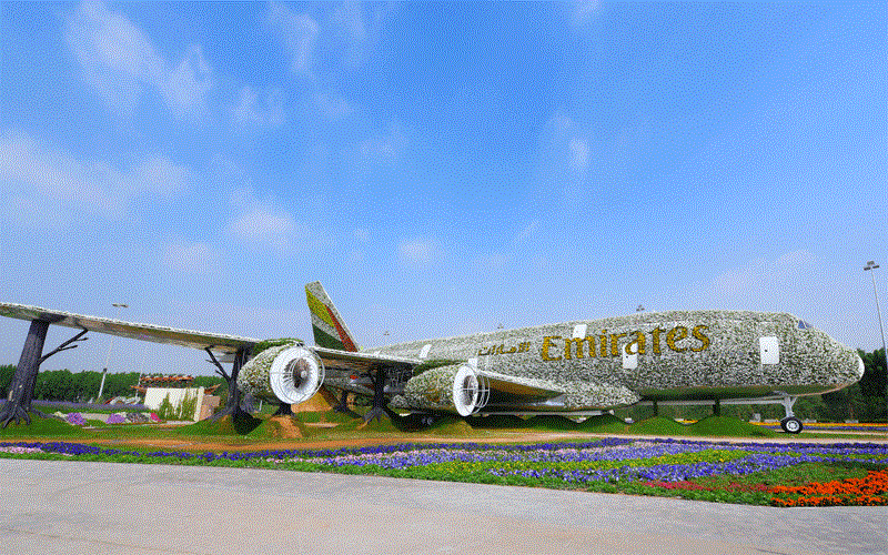 “بالصور“ دبي تبني أكبر طائرة بالحجم الحقيقي من الزهور a0350f74-a54b-4656-88d6-013083acddd2