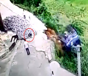 “فيديو“ شاهد سائق يقفز من الشاحنة في اللحظة الأخيرة قبل أن تنزلق وتقع في الوادي