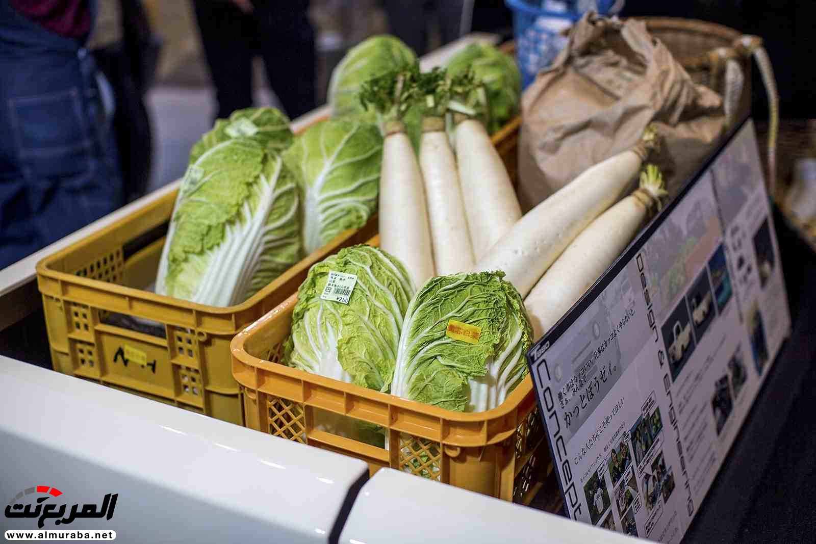 "بالصور" شاهد أغرب السيارات التخصيصية بصالون طوكيو 2017 "بالصور" شاهد أغرب السيارات التخصيصية بصالون طوكيو 2017 19