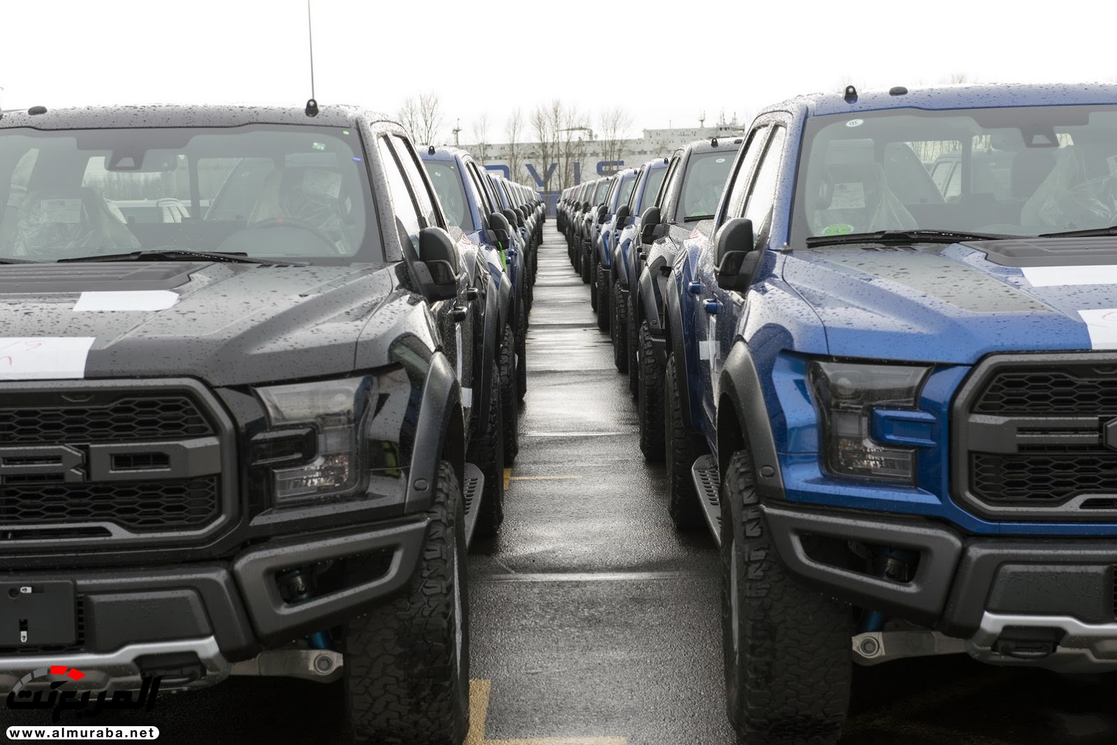 "فورد" F-150 رابتور الجديدة كليا 2017 في طريقها للصين لتسليمها للعملاء Ford "فورد" F-150 رابتور الجديدة كليا 2017 في طريقها للصين لتسليمها للعملاء Ford 5