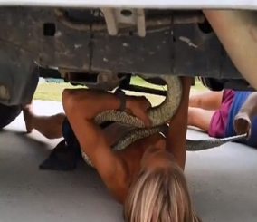 “فيديو” شاهد صبي يصارع ثعبانا طوله مترين لإخراجه من الهيكل السفلي لسيارة عائلته