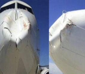 ما خطورة اصطدام الطيور بالطائرات ؟