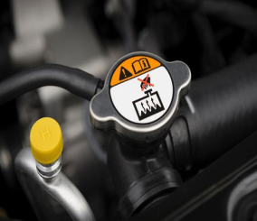 هل يجب استخدام المياه المقطرة للردييتر؟