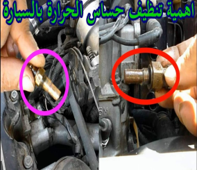 “فيديو” شاهد أهمية وطريقة تنظيف حساس الحرارة في السيارة