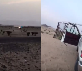 “فيديو” شاهد دوريات مكافحة المخدرات وهي تطارد سيارتين يستقلها مهربين مخدرات