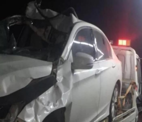 جمل سائب يتسبب في وفاة مواطنة وإصابة اخرون على إثر تصادمه بسيارة