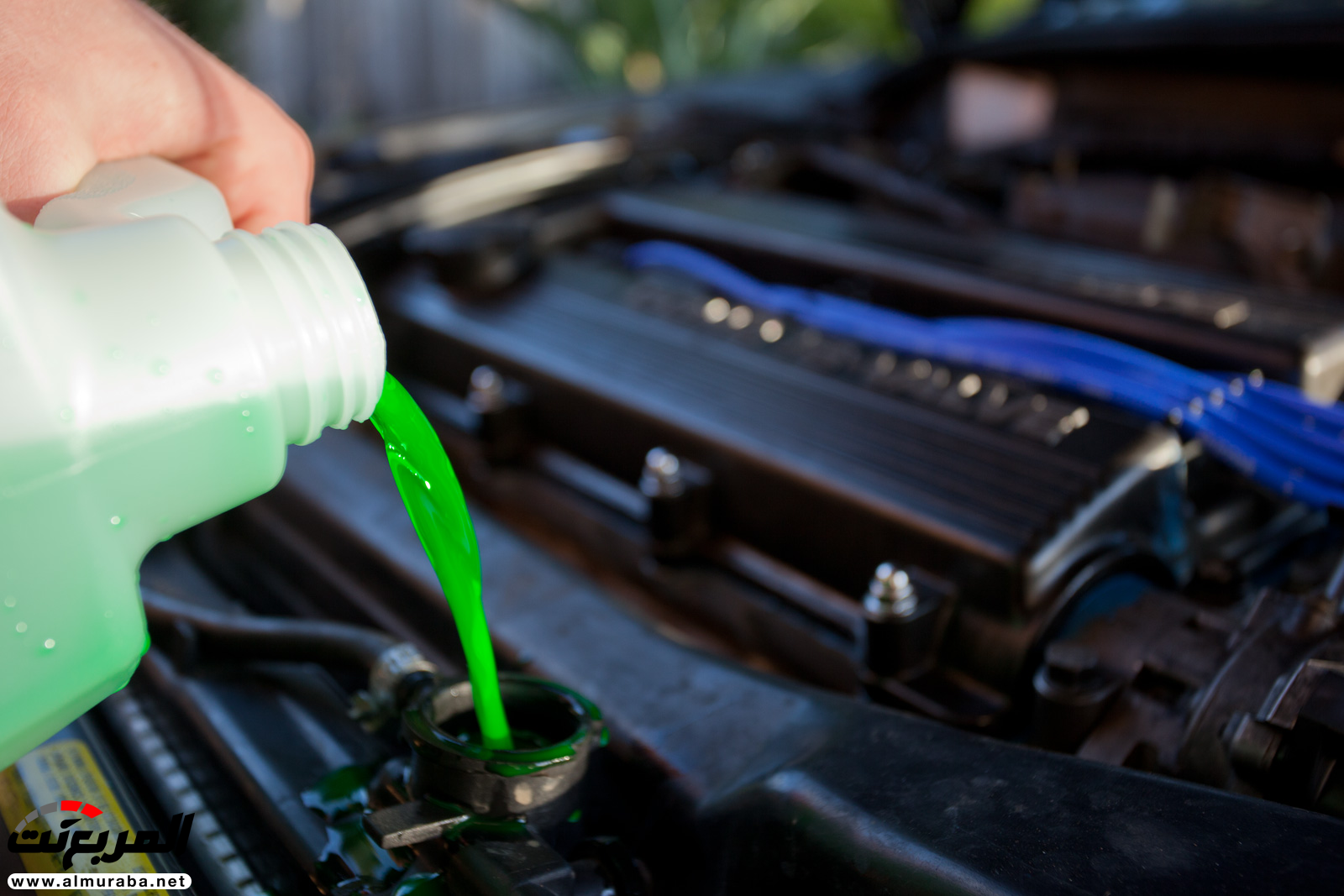 ما هي الطريقة الصحية لفحص وزيادة مياه الردياتير؟ ما هي الطريقة الصحية لفحص وزيادة مياه الردياتير؟ 1