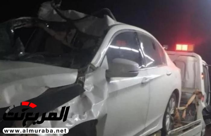 جمل سائب يتسبب في وفاة مواطنة وإصابة اخرون على إثر تصادمه بسيارة جمل سائب يتسبب في وفاة مواطنة وإصابة اخرون على إثر تصادمه بسيارة 1