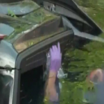 "فيديو" شاهد سائقة تسقط بسيارتها الفورد ببركة سباحة بمنزل في مدينة سان دييجو في كاليفورنيا "فيديو" شاهد سائقة تسقط بسيارتها الفورد ببركة سباحة بمنزل في مدينة سان دييجو في كاليفورنيا 2