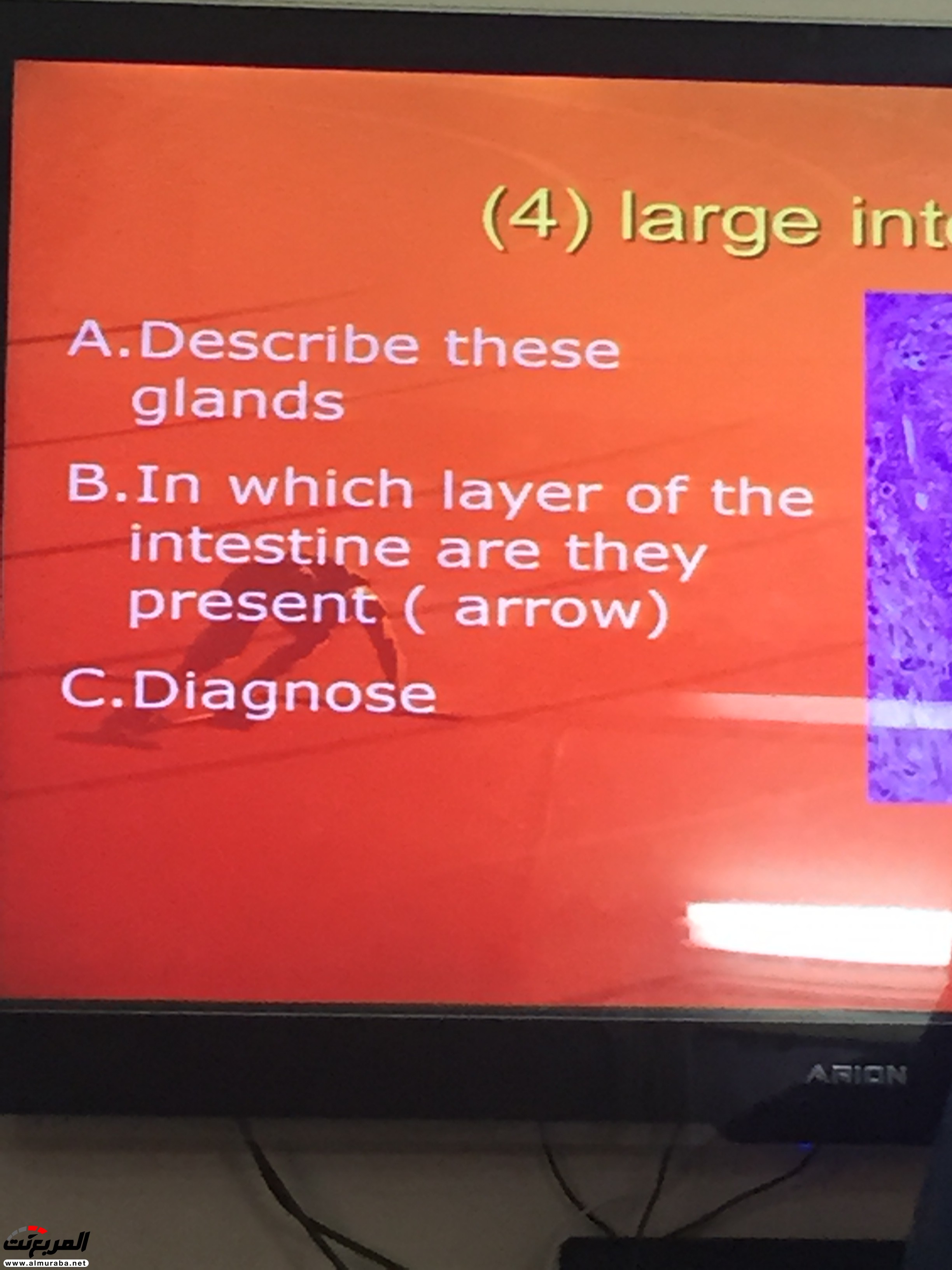 أودي S8 الجديدة عالية الأداء تأتي بمحركات بورش أودي S8 الجديدة عالية الأداء تأتي بمحركات بورش 16