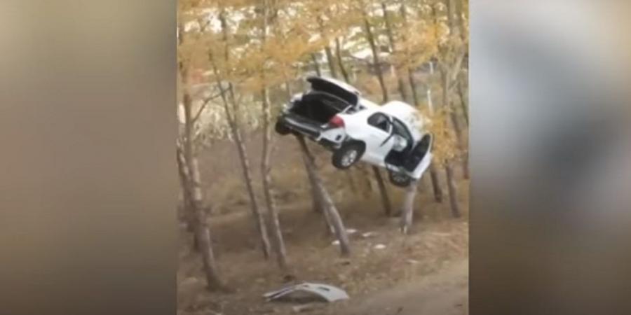 “فيديو” شاهد سيارة محاصرة بين فروع الأشجار العالية في أغرب حادث بالصين