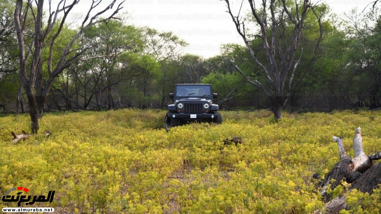شركة هندية حوّلت سيارة ماهيندرا إلى جيب رانجلر 10