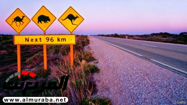 "بالصور" ما هي أكثر الطرق إثارة للاهتمام في العالم؟ 4