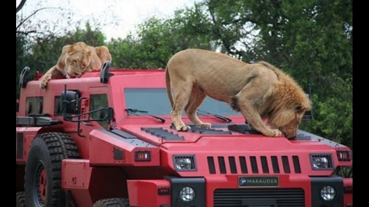 “بالفيديو” شاهد أخطر 5 سيارات مدرعة في العالم