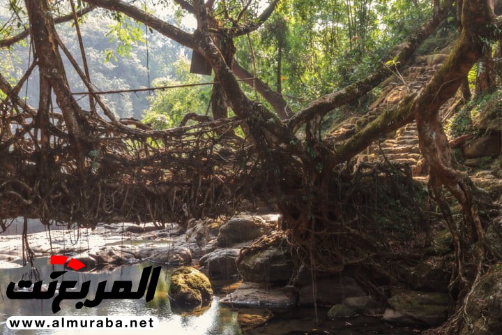 "بالصور" تعرف على أطول 8 جسور حول العالم.. إحداها في السعودية "بالصور" تعرف على أطول 8 جسور حول العالم.. إحداها في السعودية 6