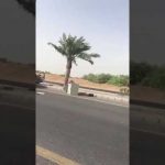 "بالفيديو" سيارة مسرعة تدمر كاميرا مراقبة (ساهر) بمنطقة جازان 2