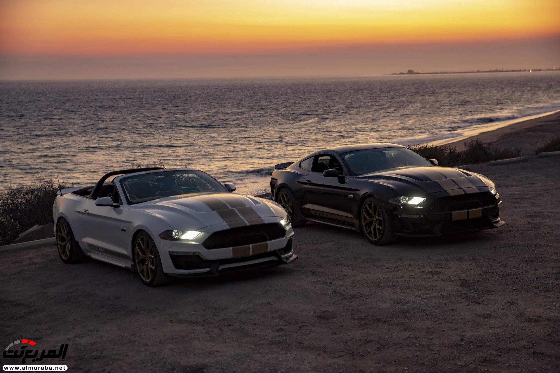 شيلبي GT موديل 2019 تكشف نفسها رسمياً شيلبي GT موديل 2019 تكشف نفسها رسمياً 1