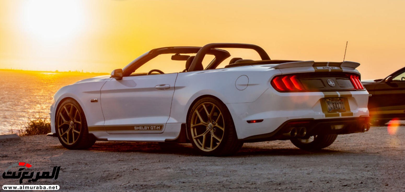 شيلبي GT موديل 2019 تكشف نفسها رسمياً شيلبي GT موديل 2019 تكشف نفسها رسمياً 4