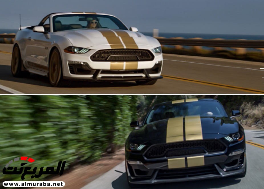 شيلبي GT موديل 2019 تكشف نفسها رسمياً شيلبي GT موديل 2019 تكشف نفسها رسمياً 5