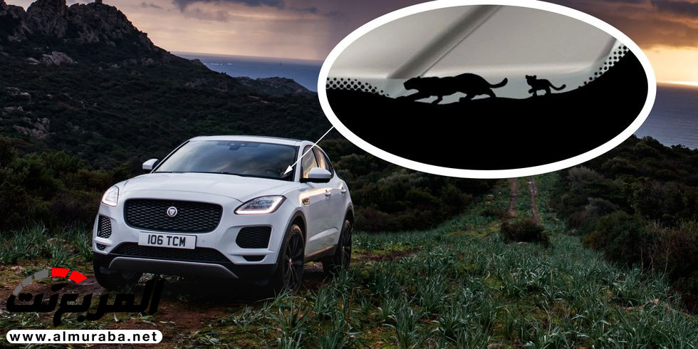 لماذا تضع الشركات رسائل خفية في سياراتها؟ 1