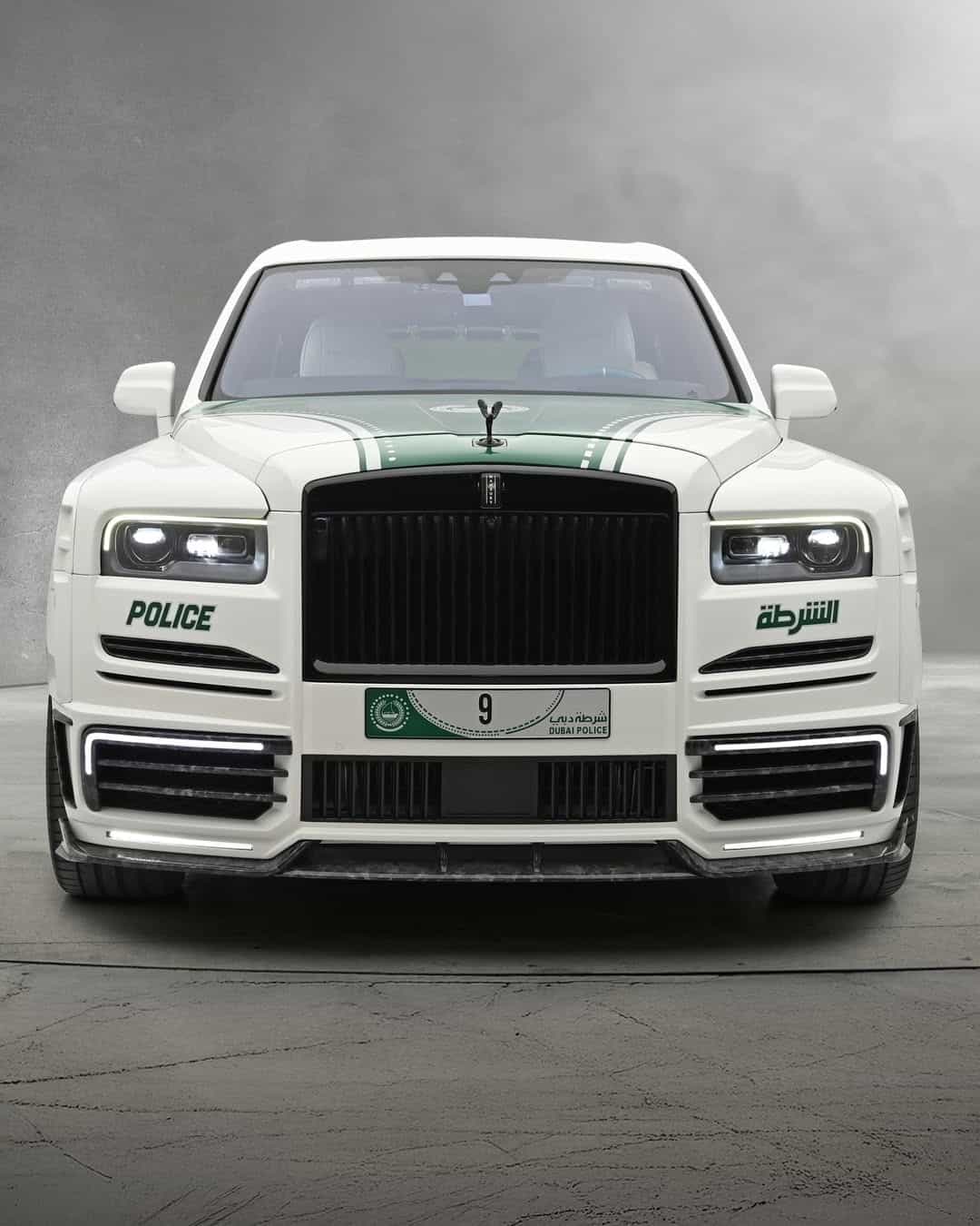 سيارات شرطة دبي الخارقة والكهربائية.. ماذا يضم الأسطول فعلاً؟ سيارات شرطة دبي الخارقة والكهربائية.. ماذا يضم الأسطول فعلاً؟ 11