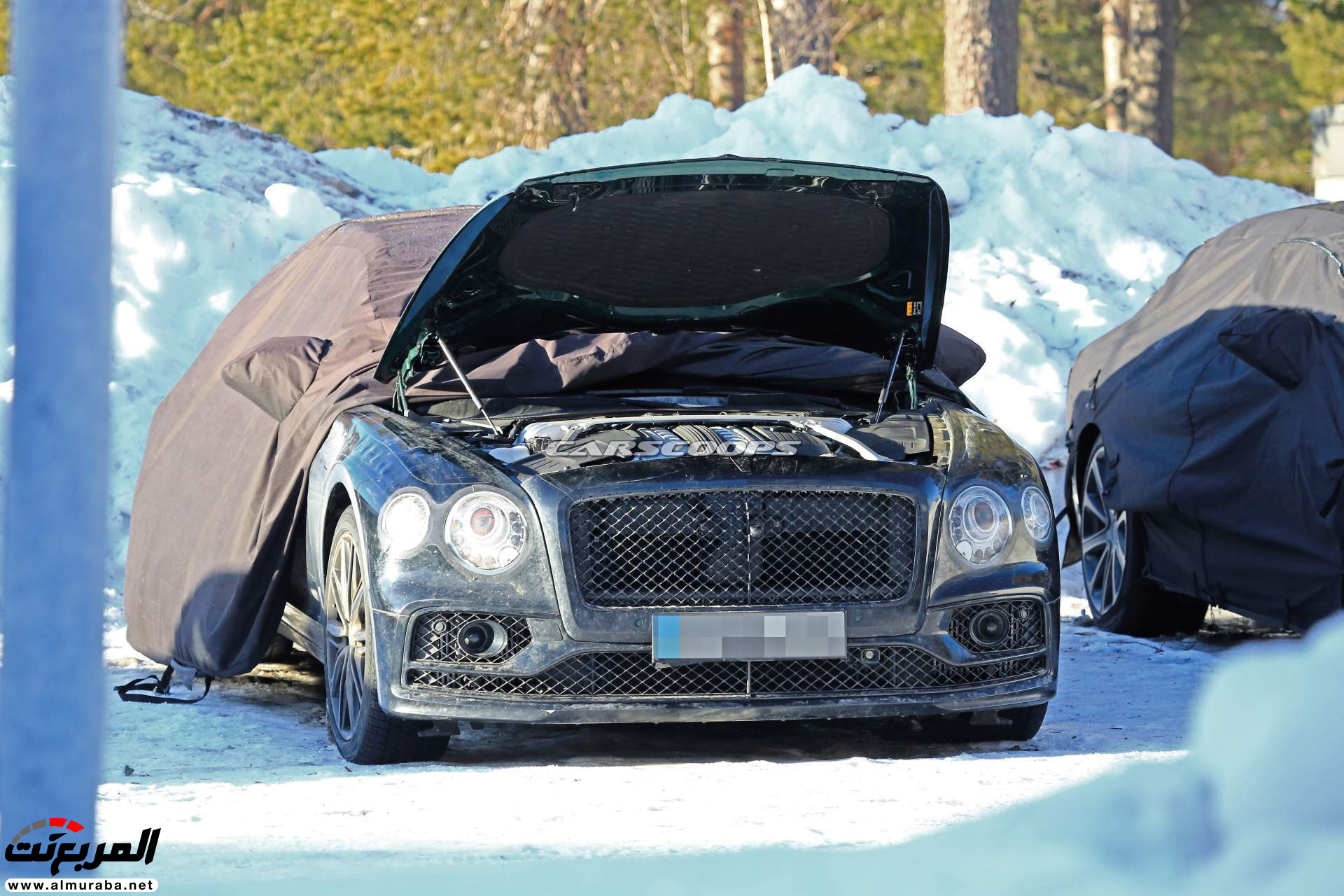 بنتلي فلاينج سبير 2020 الجديدة أثناء اختباراتها النهائية قبل تدشينها بنتلي فلاينج سبير 2020 الجديدة أثناء اختباراتها النهائية قبل تدشينها 38