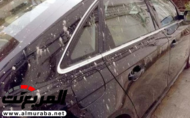 طريقة بسيطة للتخلص من بقايا الإسمنت عن سيارتك طريقة بسيطة للتخلص من بقايا الإسمنت عن سيارتك 1