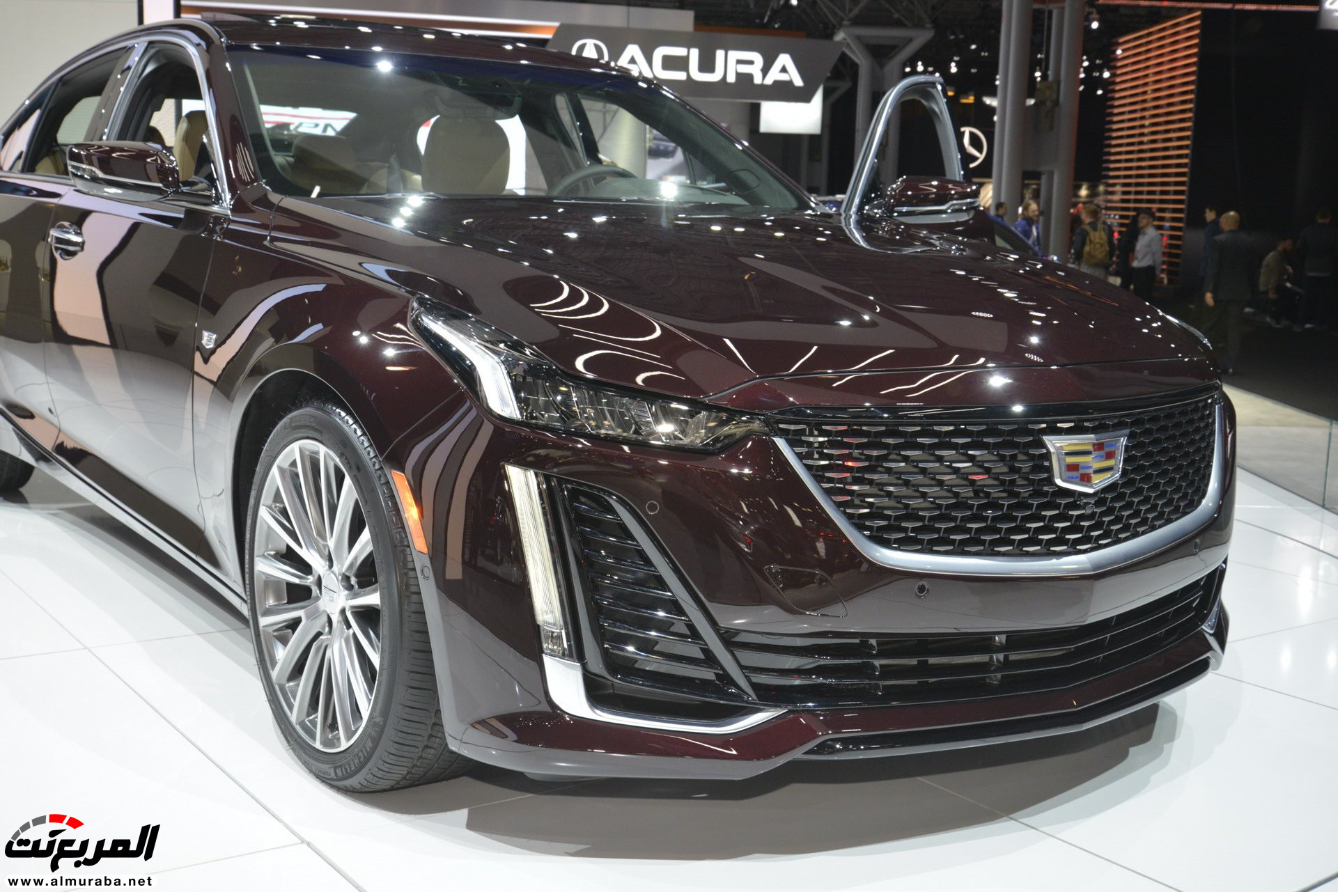 "بالصور" كاديلاك CT5 بديلة CTS وATS تتألق أمام العالم "بالصور" كاديلاك CT5 بديلة CTS وATS تتألق أمام العالم 1