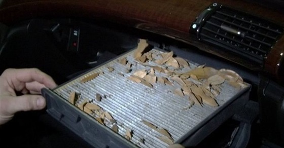 سر انتشار الروائح الكريهة في الشتاء بسيارتك وكيفية إزالتها سر انتشار الروائح الكريهة في الشتاء بسيارتك وكيفية إزالتها 1