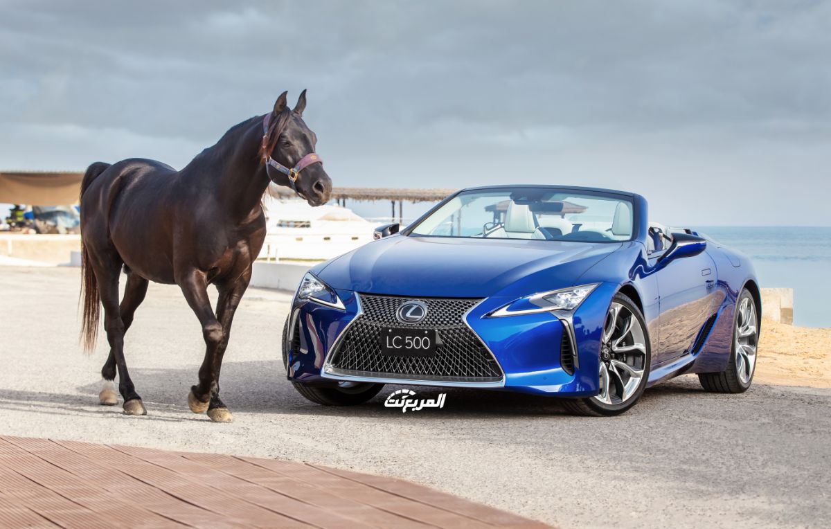 لكزس LC كشف النسخة الوحيدة من نوعها بالشرق الأوسط في جلسة تصوير فاخرة Lexus LC Convertible لكزس LC كشف النسخة الوحيدة من نوعها بالشرق الأوسط في جلسة تصوير فاخرة Lexus LC Convertible 15