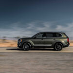 تيلورايد-2-2