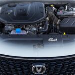 شانجان-إيدو-بلس-2022-6