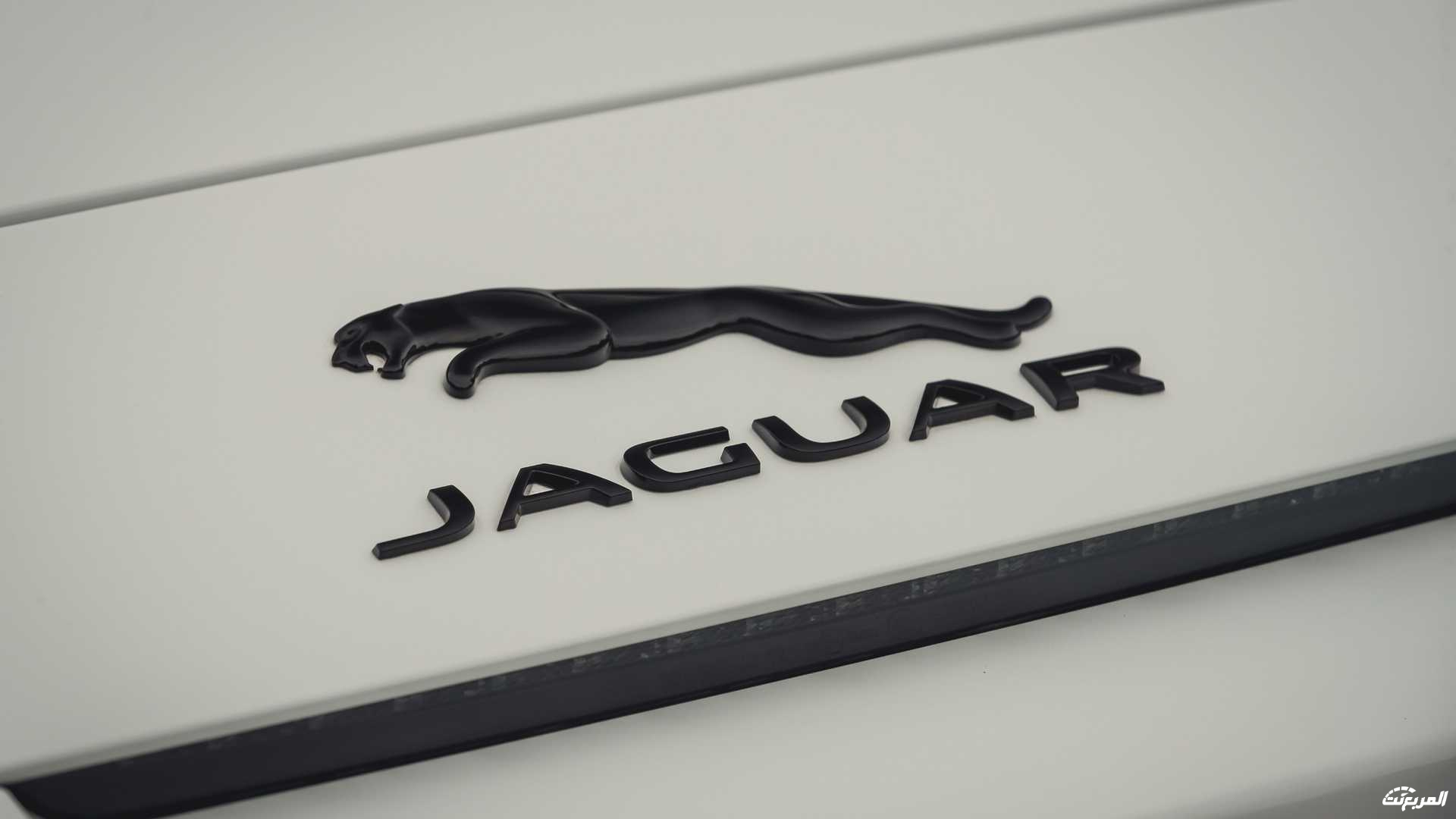 جاكوار-اف-تايب-2022-17