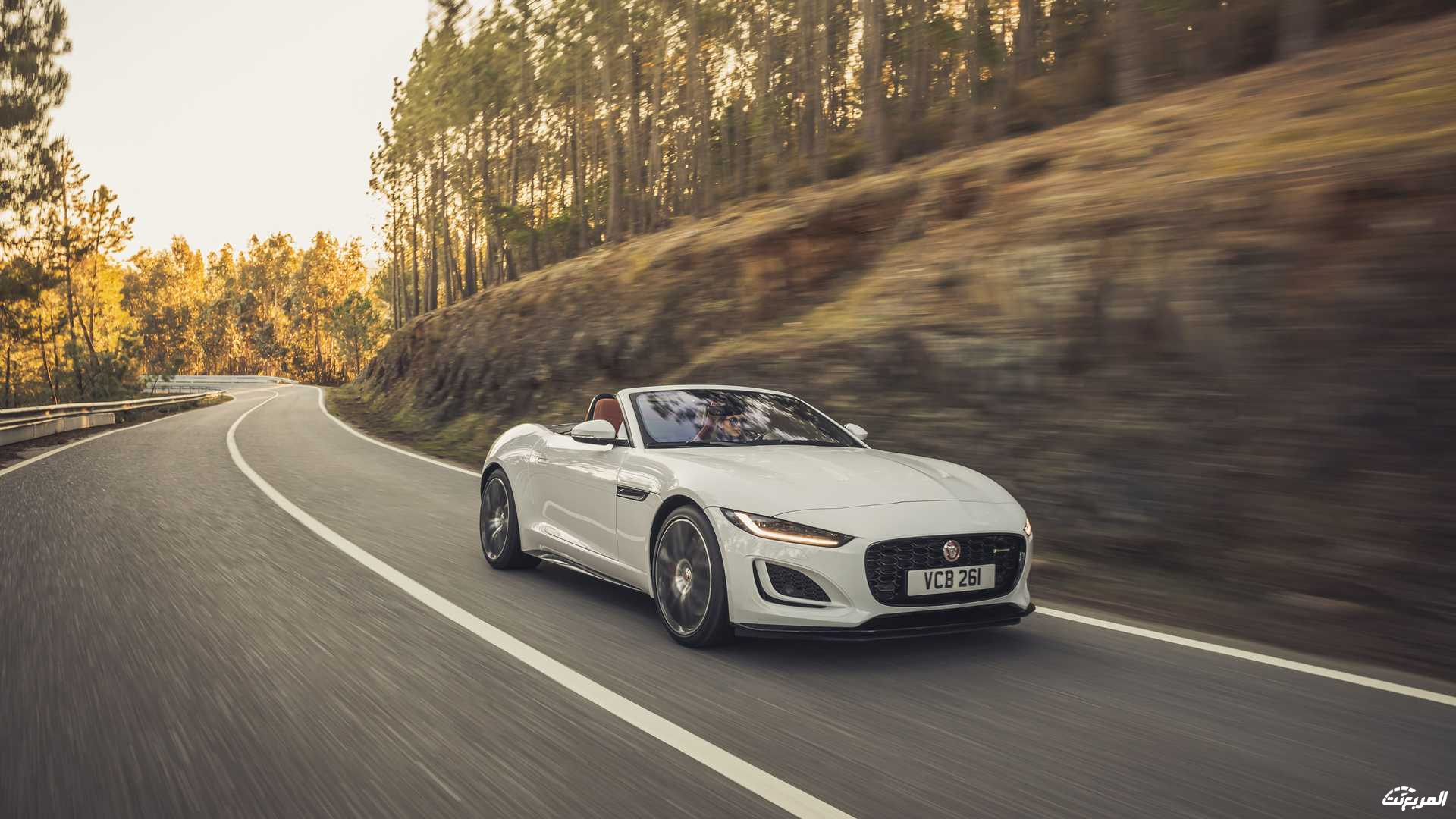 جاكوار-اف-تايب-2022-33