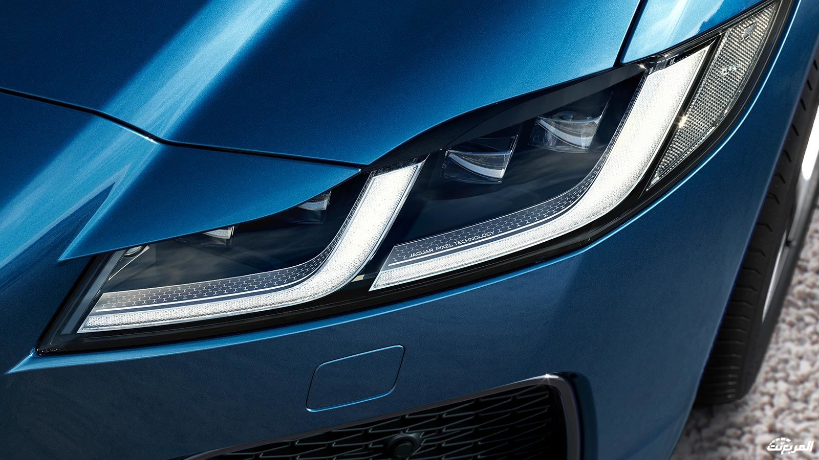 جاكوار-اكس-اف-2022-3