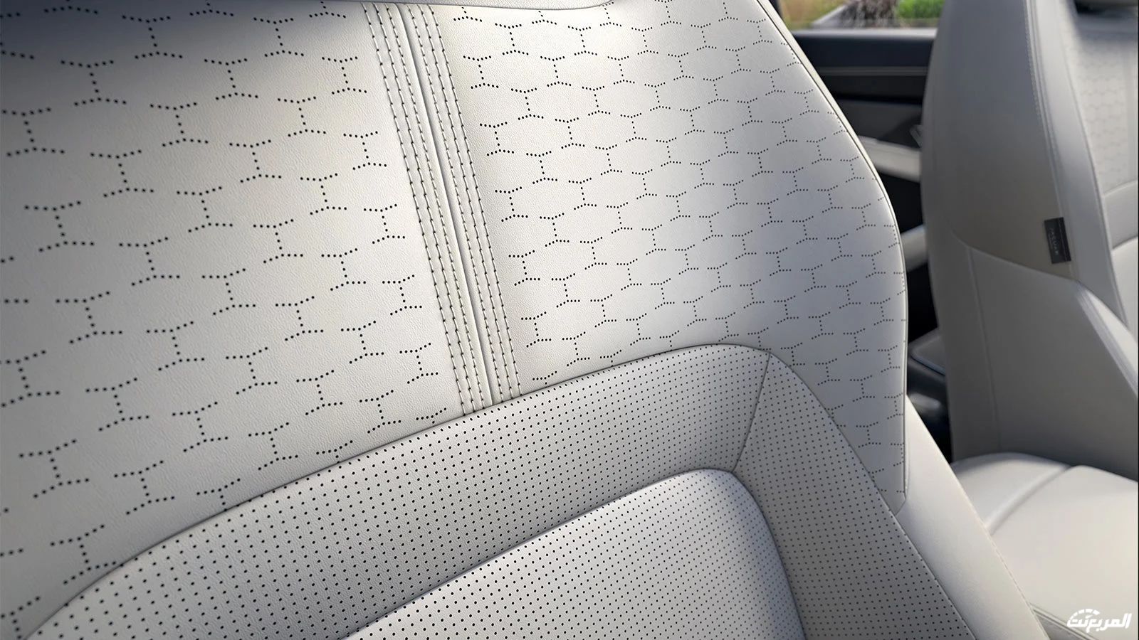 جاكوار-اكس-اف-2022-4