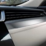 جاكوار-اكس-اف-2022-6