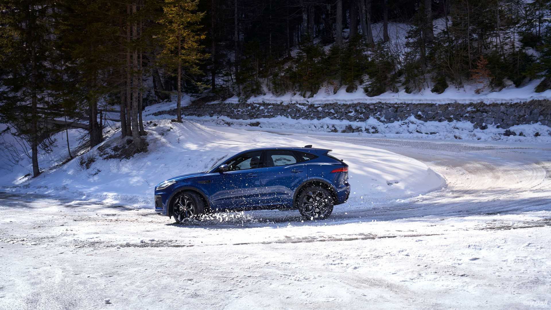 جاكوار-اي-بيس-2022-13