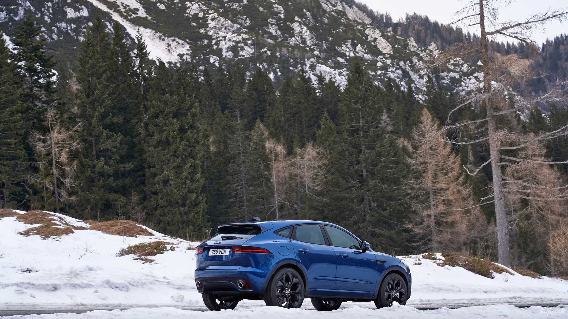 جاكوار-اي-بيس-2022-14