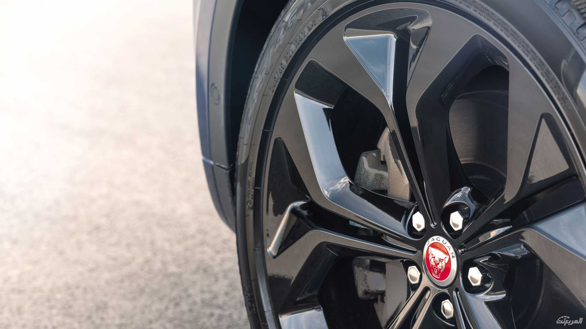 جاكوار-اي-بيس-2022-31